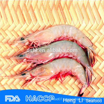 HL002 sea catch cooked bqf pud red shrimp